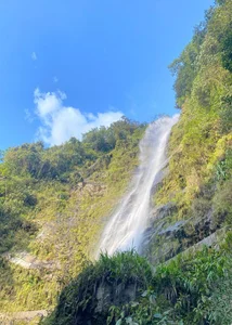 Drako_Lamar Unplugged, undressed, unforgettable 🍃🔥🌊 사진 4