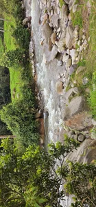 Kore_Persephone Public Billede 8