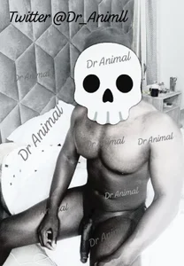 DR-ANIMAL Public صورة واحدة|DR-ANIMAL Public صورتان|DR-ANIMAL Public  صور|DR-ANIMAL Public  صورة