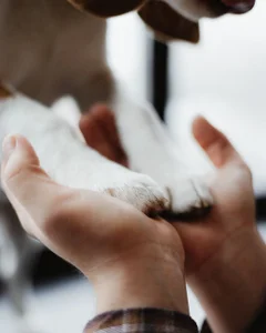 michael_strong1 My happiness 🐶 รูป  6