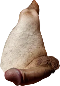 Grreeggoorr Public Foto 2