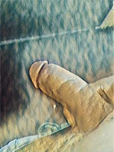 RickDaDickDickerson Public รูป  3