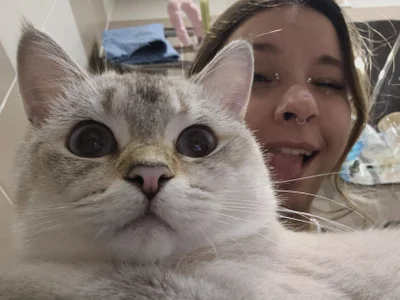 HinaVibeのPublicの 3枚の写真