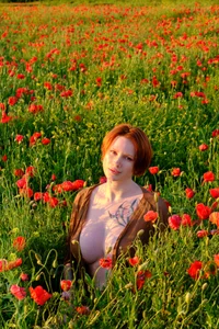 In the poppy field