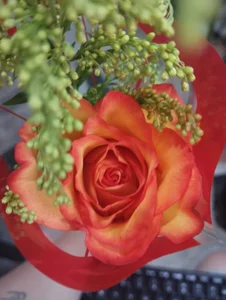 Isa_Maiden1 Story with Flowers 🌻 Bilde 5