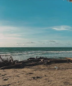 NovaaWhelerのVacation 🌊🌴の 4枚の写真