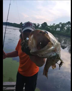 PropertyAndBikerのBiker's Big bass (Clean Shaved)の 2枚の写真