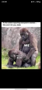 dandonnのPublicの 5枚の写真