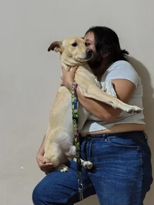 alexacurvy05 🙈 Pic