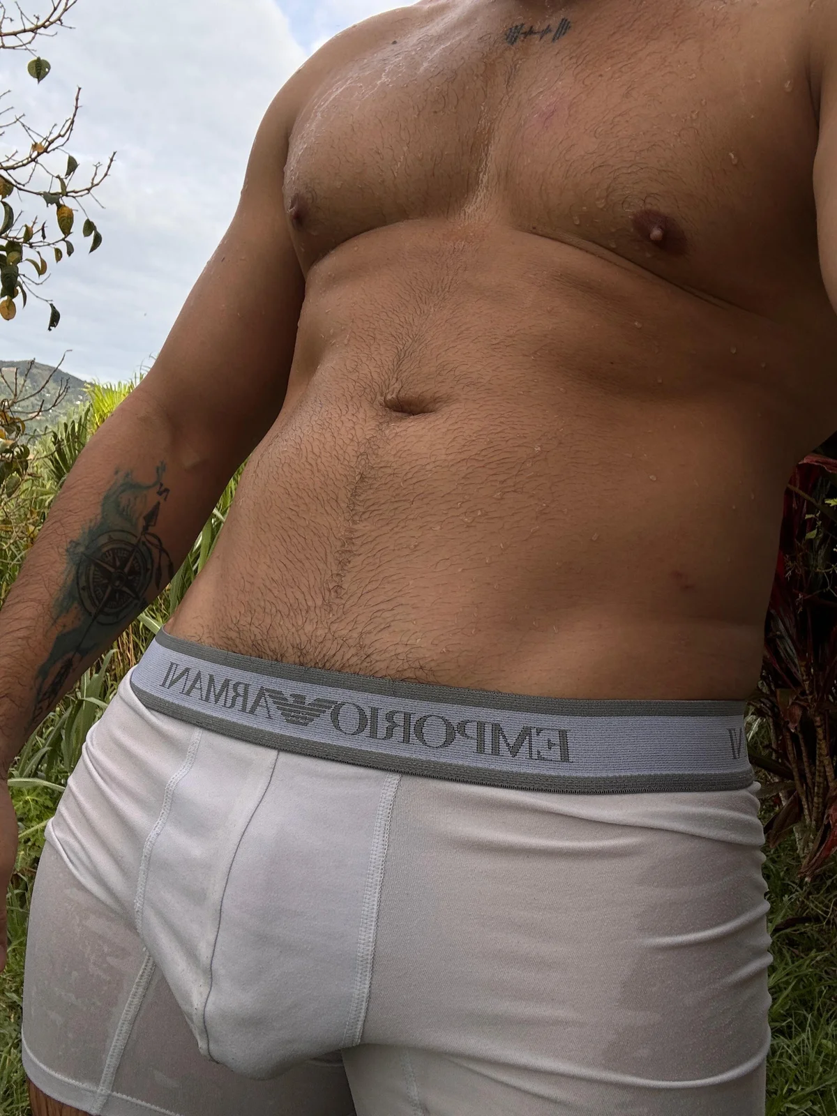 Marco_Vega Gambar Trending 249