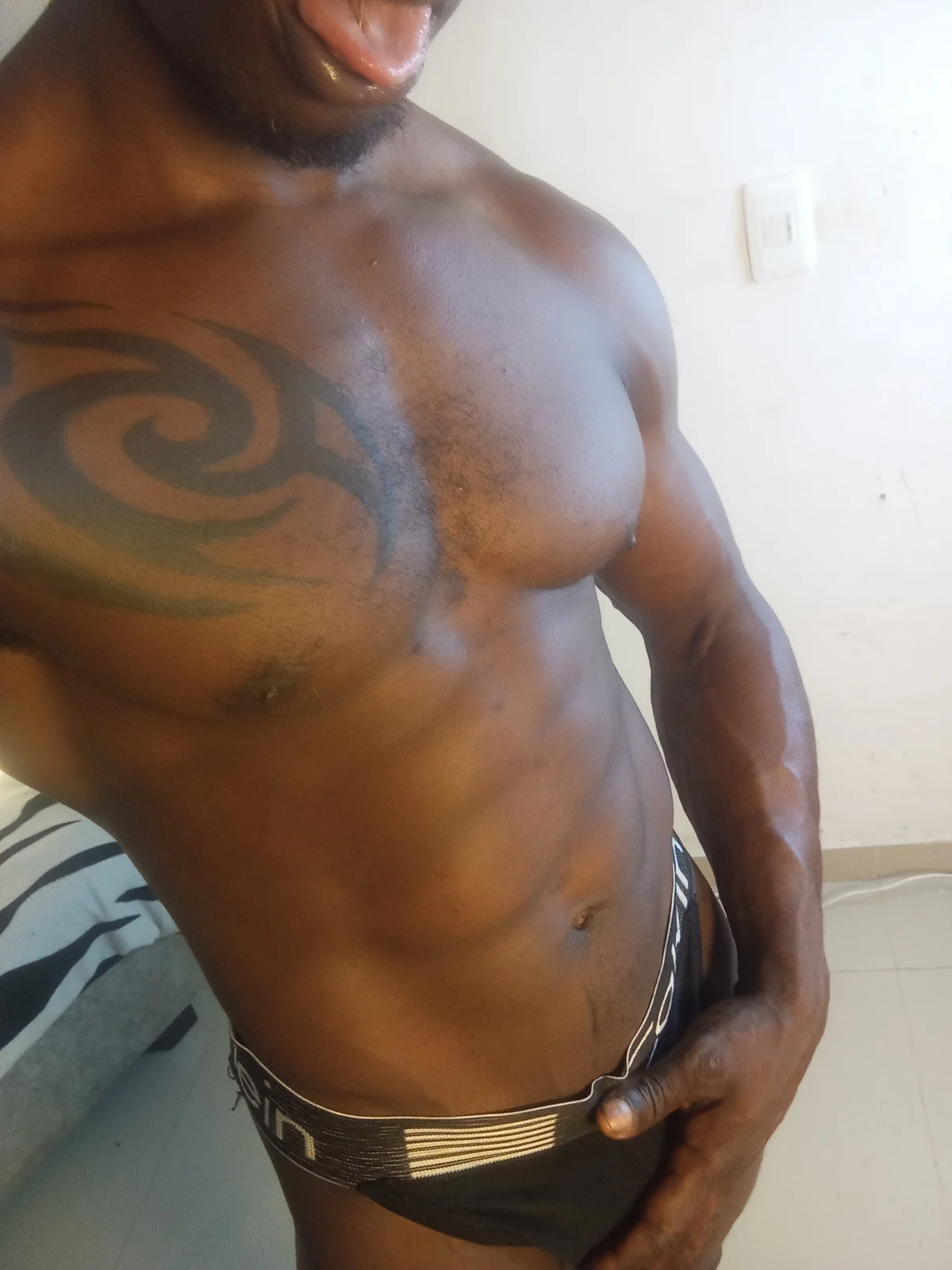 Трендове зображення  3534 MrByronStallion