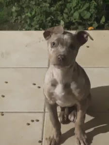 big-cock33a Public Pic 5