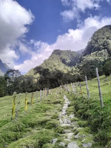 AshleyandCleo Nature Kuva 5