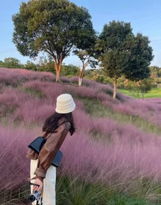 QQ88-99一场说走就走的旅行图片 3