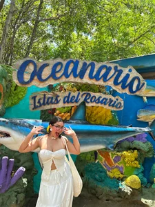 zui_lu kullanıcısının 🐚🌺🧡☀️ albümü -  4 fotoğraf