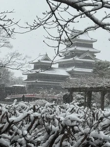 ✨ de ruirui35  3 photos