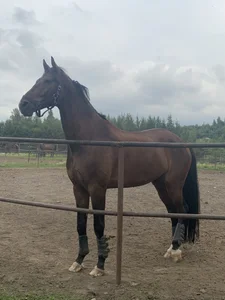 Malena_Mimy hobby Bild 8