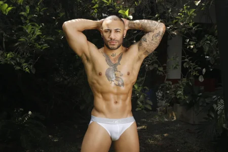 Fenix od AronFenixx  snímek