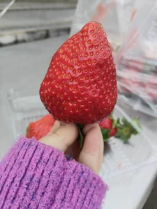 Mia-888: Public ( 2 фото)