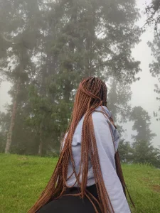 Public de Akanecox  2 Imagens