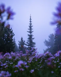 Persia_09のIreland✨の 2枚の写真