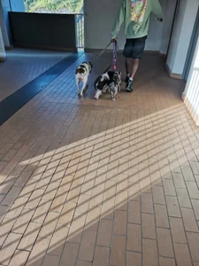 Malkon_Big Public รูป  4