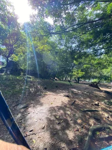 In my free time I enjoy nature 🍃🍂 od Im_miguel0  2 snímek