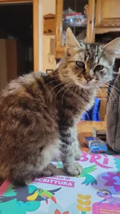 Me de StirringOomph  photos