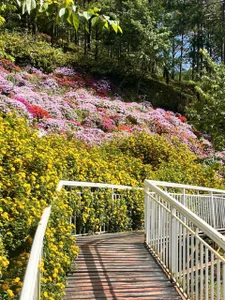 Candy_Sweetie_A girl amidst a forest of flowers图片