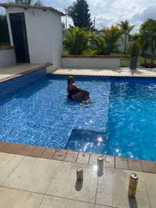 Fatima_ebony Public Immagine  4