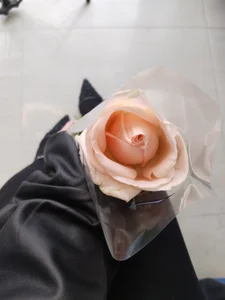 Dollvexia_ Kiss ✨👸🏻 Bilde 5