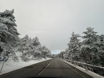 Alirawrz Madrid Foto