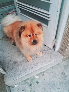 Eu de samuelcher  2 Imagens