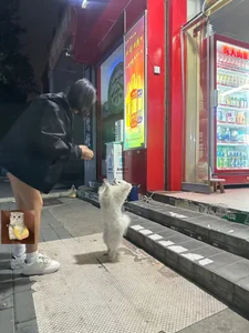 jingjing005: Public ( 4 фото)