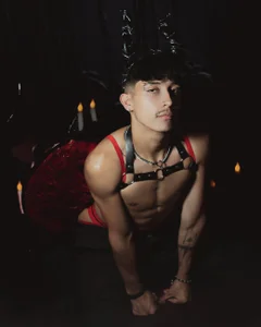 tim__fox dance with the d3vil Hình 4