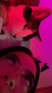 Babymishi My cats 🥹💖 Pic