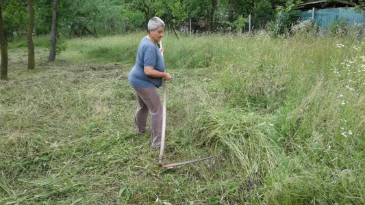 ExquisiteMature How we mow în Romania Poză 7