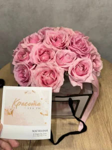 Blow_Star Public Pic 7