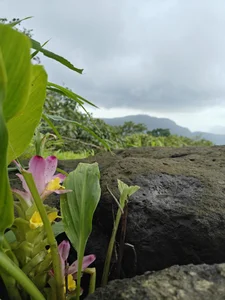 Public od yung_cplz  4 snímek