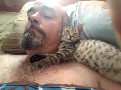 THEFOXNROSE Public Εικόνα 7