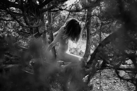 _blackgem Public Foto 6