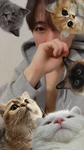 Yumadeath Public зображення 3