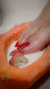 mariiana_murillo01 my sweet feet for you টি ছবি