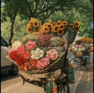 Chichi_86 Public Hình 2