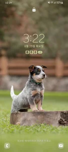 dhfl05h 시각장애인마사지사 Sex fotek 3