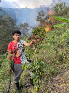 sky-wolves Living in the mountains Pic 7