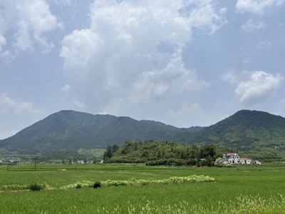 sophieworld Public Εικόνα 6