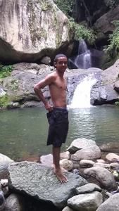 TommhotのNatureの枚の写真