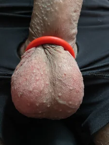 Luca999111 Public Gambar 4