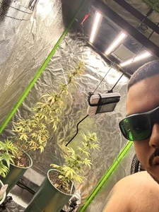 El_Titan1998 Public Hình